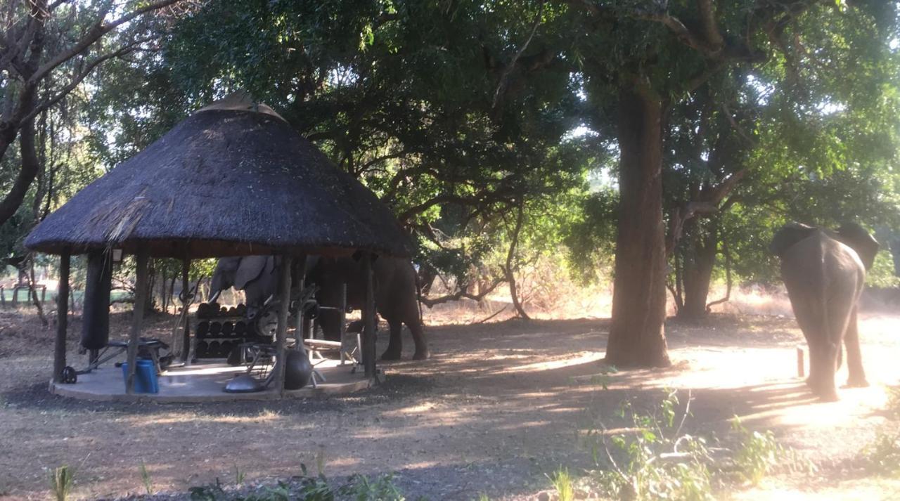Track And Trail River Camp Kakumbi Εξωτερικό φωτογραφία