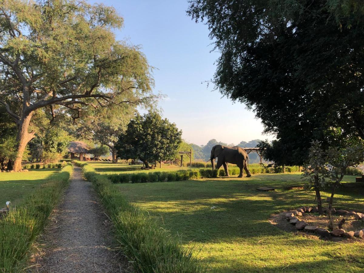 Track And Trail River Camp Kakumbi Εξωτερικό φωτογραφία