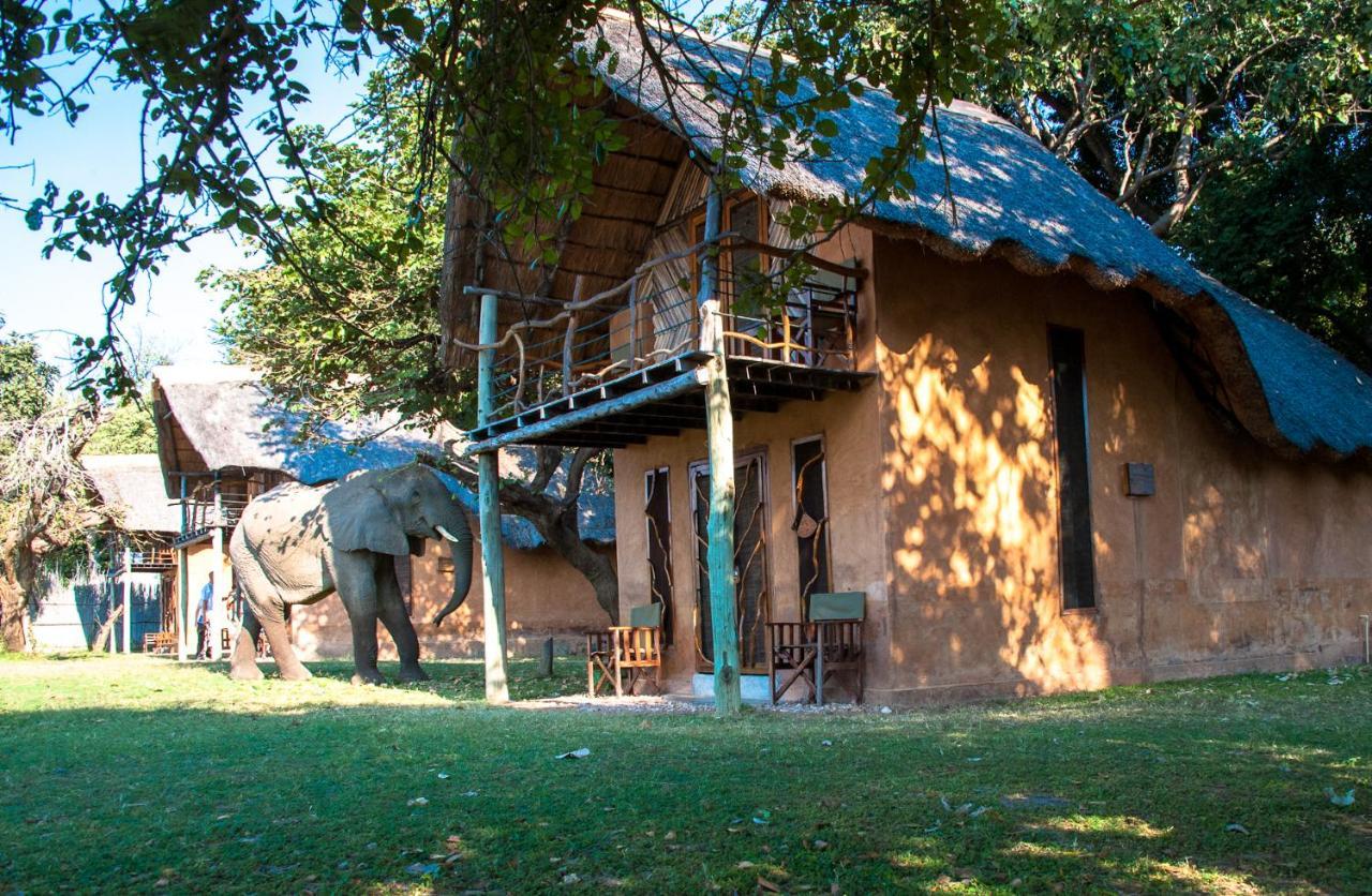 Track And Trail River Camp Kakumbi Εξωτερικό φωτογραφία